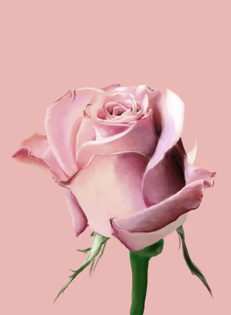 Pink_Rose_by_hagrid78