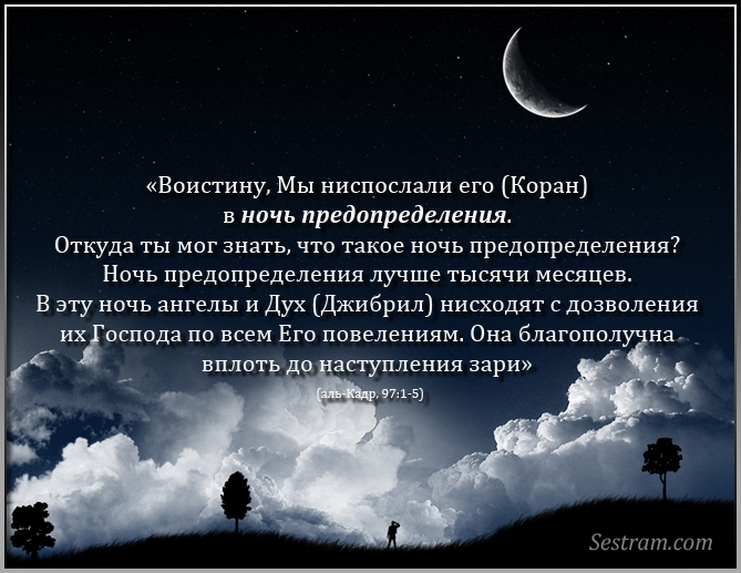 Картинка лайлатуль кадр