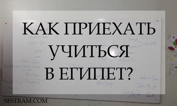 Изображение - Как оплатить учебу ребенка в египте %D0%BA%D0%B0%D0%BA-%D0%BF%D1%80%D0%B8%D0%B5%D1%85%D0%B0%D1%82%D1%8C-%D1%83%D1%87%D0%B8%D1%82%D1%8C%D1%81%D1%8F-%D0%B2-%D0%B5%D0%B3%D0%B8%D0%BF%D0%B5%D1%82